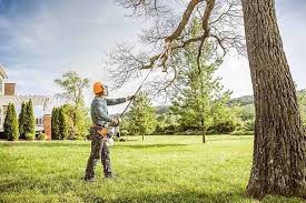 Leaf Removal in Roslyn, PA